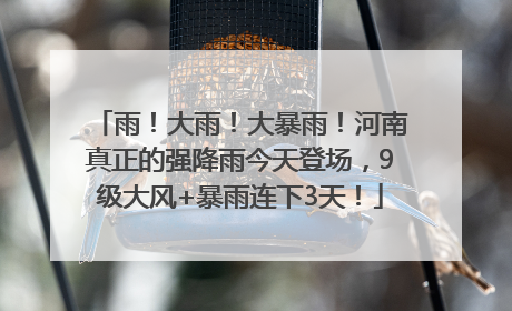 雨！大雨！大暴雨！河南真正的强降雨今天登场，9级大风+暴雨连下3天！