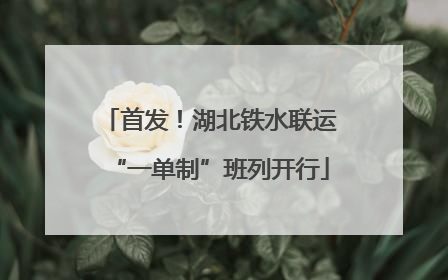 首发！湖北铁水联运“一单制”班列开行