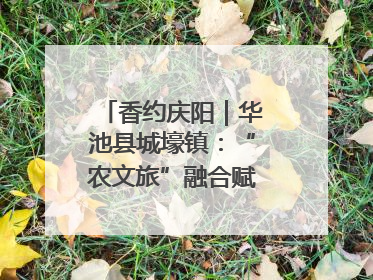 香约庆阳｜华池县城壕镇：“农文旅”融合赋能乡村振兴