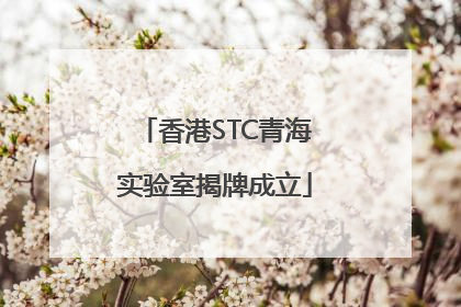 香港STC青海实验室揭牌成立