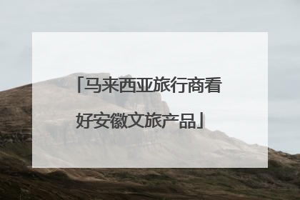 马来西亚旅行商看好安徽文旅产品