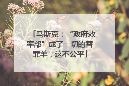 马斯克：“政府效率部”成了一切的替罪羊，这不公平