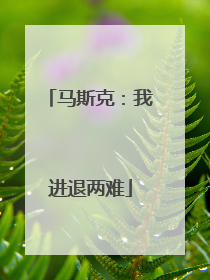 马斯克：我进退两难