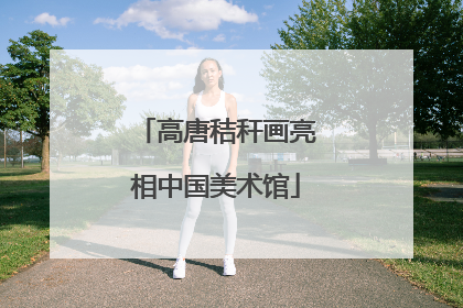 高唐秸秆画亮相中国美术馆