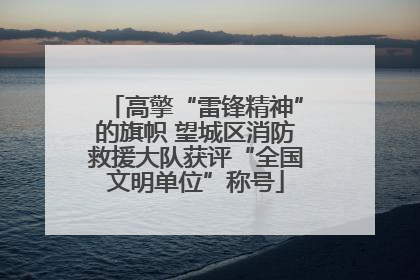 高擎“雷锋精神”的旗帜 望城区消防救援大队获评“全国文明单位”称号