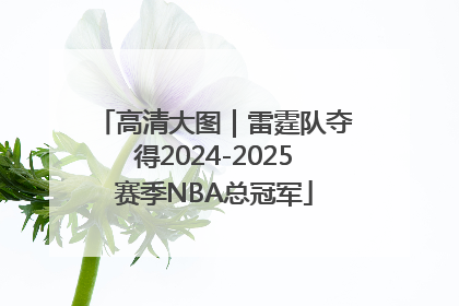 高清大图｜雷霆队夺得2024-2025赛季NBA总冠军
