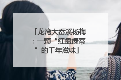 龙湾大岙溪杨梅：一颗“红盘绿蒂”的千年滋味
