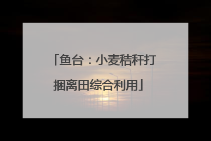 鱼台：小麦秸秆打捆离田综合利用