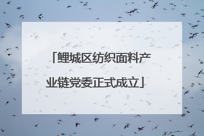鲤城区纺织面料产业链党委正式成立