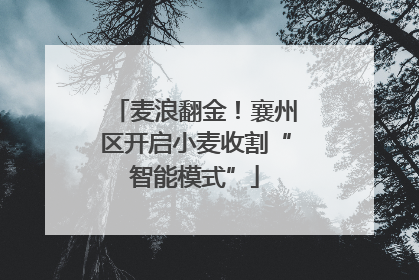 麦浪翻金！襄州区开启小麦收割“智能模式”