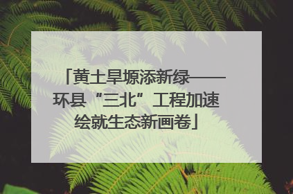 黄土旱塬添新绿——环县“三北”工程加速绘就生态新画卷