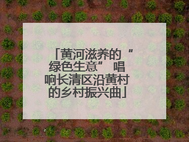 黄河滋养的“绿色生意” 唱响长清区沿黄村的乡村振兴曲
