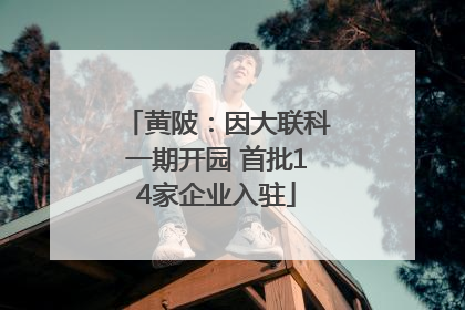 黄陂：因大联科一期开园 首批14家企业入驻