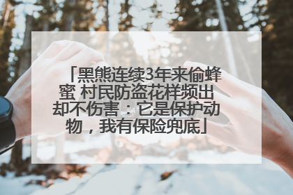 黑熊连续3年来偷蜂蜜 村民防盗花样频出却不伤害：它是保护动物，我有保险兜底