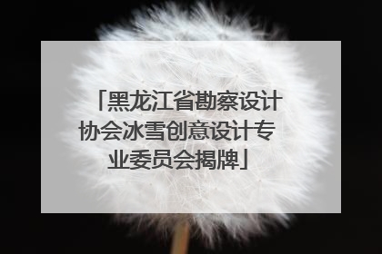 黑龙江省勘察设计协会冰雪创意设计专业委员会揭牌