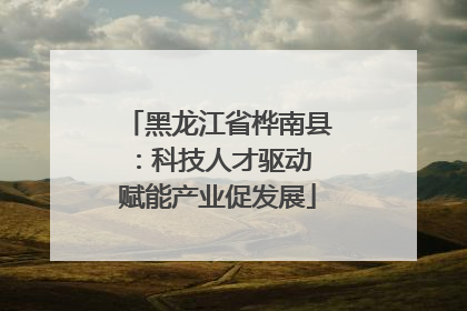 黑龙江省桦南县：科技人才驱动 赋能产业促发展