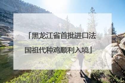 黑龙江省首批进口法国祖代种鸡顺利入境