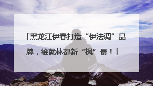 黑龙江伊春打造“伊法调”品牌，绘就林都新“枫”景！