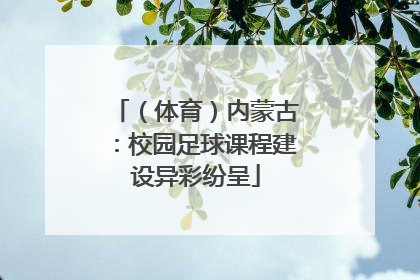 （体育）内蒙古：校园足球课程建设异彩纷呈