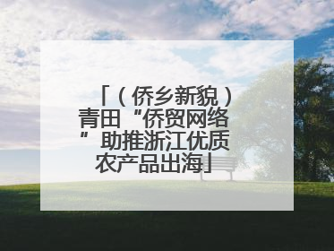 （侨乡新貌）青田“侨贸网络”助推浙江优质农产品出海