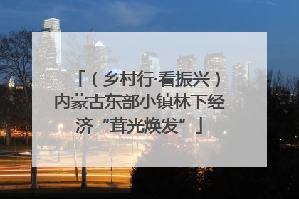 （乡村行·看振兴）内蒙古东部小镇林下经济“茸光焕发”