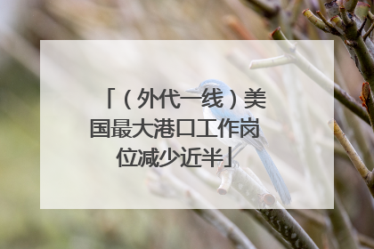 （外代一线）美国最大港口工作岗位减少近半