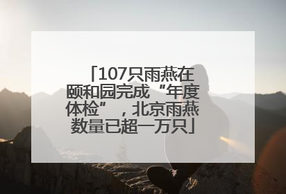 107只雨燕在颐和园完成“年度体检”，北京雨燕数量已超一万只