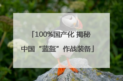 100%国产化 揭秘中国“蓝盔”作战装备