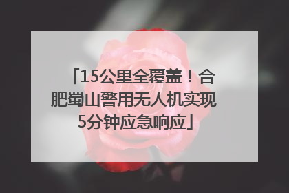 15公里全覆盖！合肥蜀山警用无人机实现5分钟应急响应