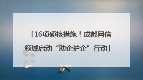 16项硬核措施！成都网信领域启动“助企护企”行动