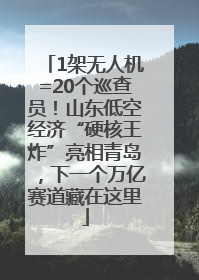 1架无人机=20个巡查员！山东低空经济“硬核王炸”亮相青岛，下一个万亿赛道藏在这里