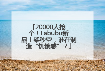 20000人抢一个！Labubu新品上架秒空，谁在制造“饥饿感”？