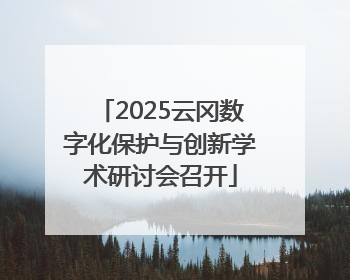 2025云冈数字化保护与创新学术研讨会召开