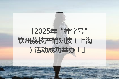 2025年“桂字号”钦州荔枝产销对接（上海）活动成功举办！