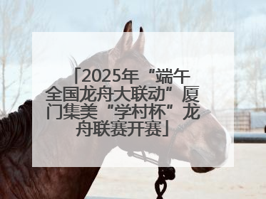 2025年“端午全国龙舟大联动”厦门集美“学村杯”龙舟联赛开赛
