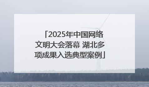 2025年中国网络文明大会落幕 湖北多项成果入选典型案例