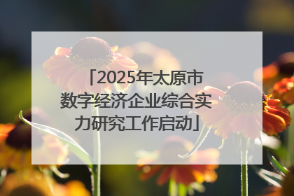 2025年太原市数字经济企业综合实力研究工作启动