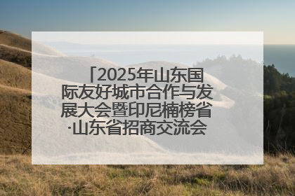 2025年山东国际友好城市合作与发展大会暨印尼楠榜省·山东省招商交流会在济南槐荫举行