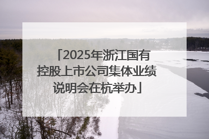 2025年浙江国有控股上市公司集体业绩说明会在杭举办