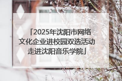 2025年沈阳市网络文化企业进校园双选活动走进沈阳音乐学院
