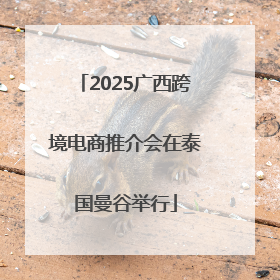 2025广西跨境电商推介会在泰国曼谷举行