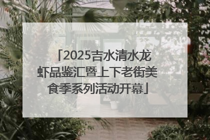 2025吉水清水龙虾品鉴汇暨上下老街美食季系列活动开幕