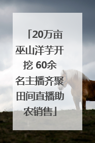 20万亩巫山洋芋开挖 60余名主播齐聚田间直播助农销售