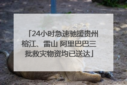24小时急速驰援贵州榕江、雷山 阿里巴巴三批救灾物资均已送达