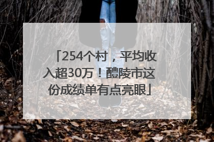 254个村，平均收入超30万！醴陵市这份成绩单有点亮眼