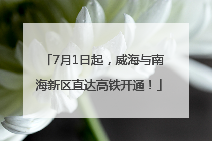 7月1日起，威海与南海新区直达高铁开通！