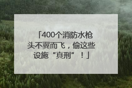 400个消防水枪头不翼而飞，偷这些设施“真刑”！