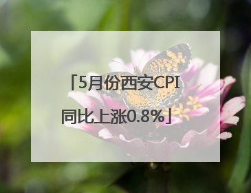 5月份西安CPI同比上涨0.8%