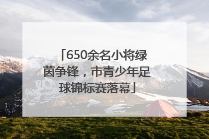 650余名小将绿茵争锋，市青少年足球锦标赛落幕
