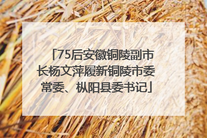 75后安徽铜陵副市长杨文萍履新铜陵市委常委、枞阳县委书记